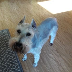 Meet your Posher, Robin